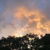 (Category: ) located in . Submitted by norwhdh (Listing ID 1251966429, Image 1). Description: .