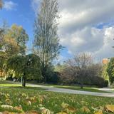 (Category: ) located in . Submitted by bfbvcwf4h563944 (Listing ID 1377042085, Image 1). Description: .