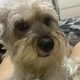 (Category: ) located in . Submitted by orange_star (Listing ID 1366189502, Image 1). Description: .