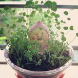 （分類：）位於 。 由 caroter 提交（商品編號 1383653631，圖片 1）。簡介： 。