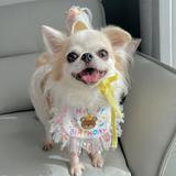 （分類：）位於 。 由 jchow13 提交（商品編號 1381009206，圖片 1）。簡介： 。