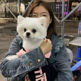 （分類：）位於 。 由 mandy_cheng947 提交（商品編號 1385558289，圖片 1）。簡介： 。