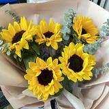 （分類：）位於 。 由 sungirl20211672 提交（商品編號 1267582800，圖片 1）。簡介： 。