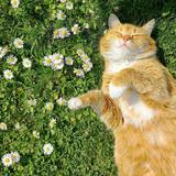 (Kategori: ) berada di . Dikirim oleh sunshines_preloved (ID iklan 1373747597, Gambar 1). Deskripsi: .