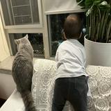 (分類:)位於 。 由 ys.umm 提交(商品編號 1434979978,圖片 1)。簡介: 。