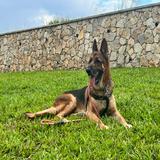 (Category: ) located in . Submitted by teddyric (Listing ID 1432512435, Image 1). Description: .