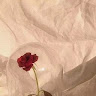 (Category: ) located in . Submitted by givemeluck (Listing ID 1459842140, Image 1). Description: .