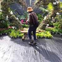 由 biki1103 (刊登 ID 1380729277，圖片 1) 提交，位於 的 (類別：)，說明：。