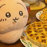 （分類：）位於 。 由 tomato_owo 提交（商品編號 1385165787，圖片 1）。簡介： 。