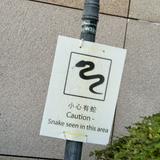 （分類：）位於 。 由 dlonwashere 提交（商品編號 1355812776，圖片 1）。簡介： 。