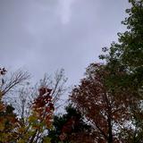 (Category: ) located in . Submitted by wd2pbqd66642821 (Listing ID 1306333844, Image 1). Description: .