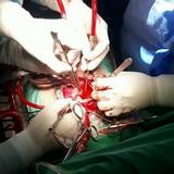 (Kategori: ) berada di . Dikirim oleh medullaspinalis01 (ID iklan 1379972087, Gambar 1). Deskripsi: .