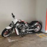 (Category: ) located in . Submitted by success0066 (Listing ID 1361656630, Image 1). Description: .