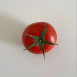 由 _tomato (刊登 ID 1353334843，圖片 1) 提交，位於 的 (類別：)，說明：。