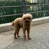(Category: ) located in . Submitted by jo2201 (Listing ID 1379162743, Image 1). Description: .