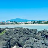 (Category: ) located in . Submitted by grapepodo (Listing ID 1444907642, Image 1). Description: .