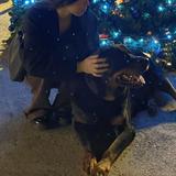 （分類：）位於 。 由 ans0nbb 提交（商品編號 1307044153，圖片 1）。簡介： 。