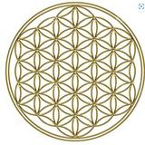由 brytonyong (刊登 ID 1344897512，圖片 1) 提交，位於 的 (類別：)，說明：。