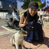 頭像
