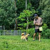 (Category: ) located in . Submitted by benedicttks (Listing ID 1306781835, Image 1). Description: .