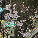 (Category: ) located in . Submitted by sandrahh.rwahh (Listing ID 1333059915, Image 1). Description: .