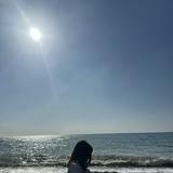 由 fly_fly_04 (刊登 ID 1309874308，圖片 1) 提交，位於 的 (類別：)，說明：。