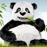 (Category: ) located in . Submitted by panda_furnitur3 (Listing ID 1379875035, Image 1). Description: .
