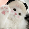 由 kimi_77 (刊登 ID 1372462253，圖片 1) 提交，位於 的 (類別：)，說明：。