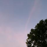 (Kategori: ) berada di . Dikirim oleh rmysha (ID iklan 1320906285, Gambar 1). Deskripsi: .