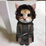 (Category: ) located in . Submitted by katarinabluee (Listing ID 1372786661, Image 1). Description: .