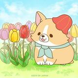（分類：）位於 。 由 u_ana._.1314 提交（商品編號 1315602034，圖片 1）。簡介： 。