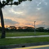 (Category: ) located in . Submitted by userr42923 (Listing ID 1439909933, Image 1). Description: .