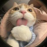 (分類:)位於 。 由 jamie5212080377 提交(商品編號 1448410463,圖片 1)。簡介: 。