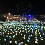 由 lin__000 (刊登 ID 1381086391，圖片 1) 提交，位於 的 (類別：)，說明：。