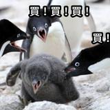 由 ru_way (刊登 ID 1383843168，圖片 1) 提交，位於 的 (類別：)，說明：。