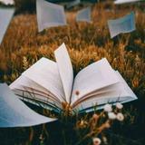 （分類：）位於 。 由 usedbooks1 提交（商品編號 1379996389，圖片 1）。簡介： 。
