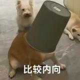 由 __w.oo (刊登 ID 1379970064，圖片 1) 提交，位於 的 (類別：)，說明：。