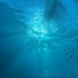 （分類：）位於 。 由 divingdiving 提交（商品編號 1385444937，圖片 1）。簡介： 。