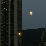 （分類：）位於 。 由 lhylhylhylo 提交（商品編號 1336070948，圖片 1）。簡介： 。