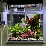 (Category: ) located in . Submitted by luke.q (Listing ID 1340592297, Image 1). Description: .