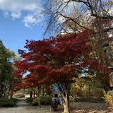 (Category: ) located in . Submitted by backinqueens (Listing ID 1352445056, Image 1). Description: .