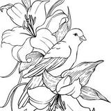(Kategori: ) berada di . Dikirim oleh birchandbloom (ID iklan 1328617301, Gambar 1). Deskripsi: .