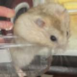 (Category: ) located in . Submitted by preetika_12345 (Listing ID 1457849597, Image 1). Description: .