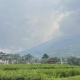 (Kategori: ) berada di . Dikirim oleh shopatheretr (ID iklan 1034596225, Gambar 1). Deskripsi: .