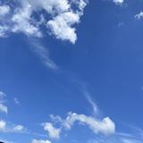 （分類：）位於 。 由 cc.fashion 提交（商品編號 1239789926，圖片 1）。簡介： 。