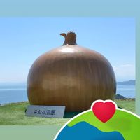 (分類:)位於 。 由 ccwymy36083 提交(商品編號 1470295638,圖片 1)。簡介: 。