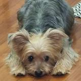 (Category: ) located in . Submitted by xcooks (Listing ID 1434742895, Image 1). Description: .