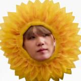 (Category: ) located in . Submitted by adoptminsuga (Listing ID 1385402493, Image 1). Description: .