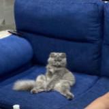 (Kategori: ) berada di . Dikirim oleh maskypreloved (ID iklan 1348358107, Gambar 1). Deskripsi: .