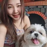 由 candy82525 (刊登 ID 1385224733，圖片 1) 提交，位於 的 (類別：)，說明：。